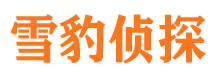 江阳市侦探公司